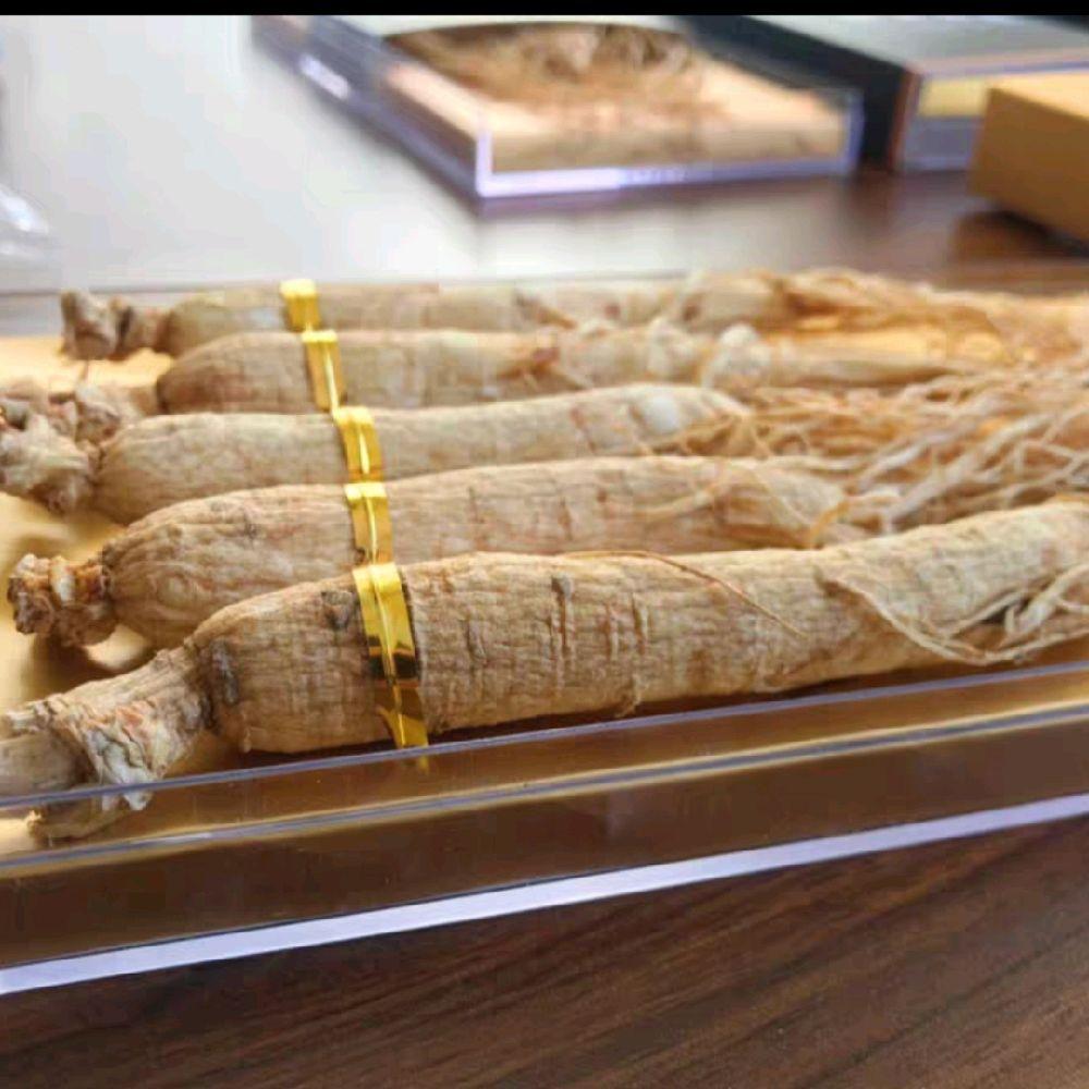 ginseng putih kering gift box ginseng putih kering gift box