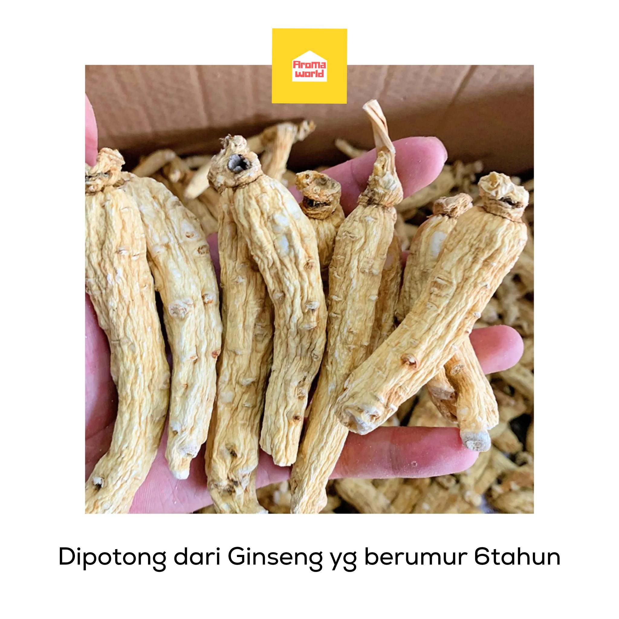 american ginseng/ yong sem / yongsem / ginseng amerika american ginseng/ yong sem / yongsem / ginseng amerika