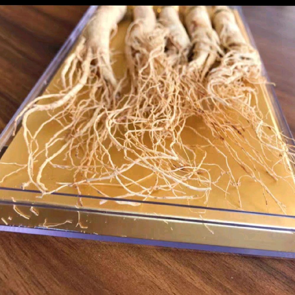 ginseng putih kering gift box ginseng putih kering gift box